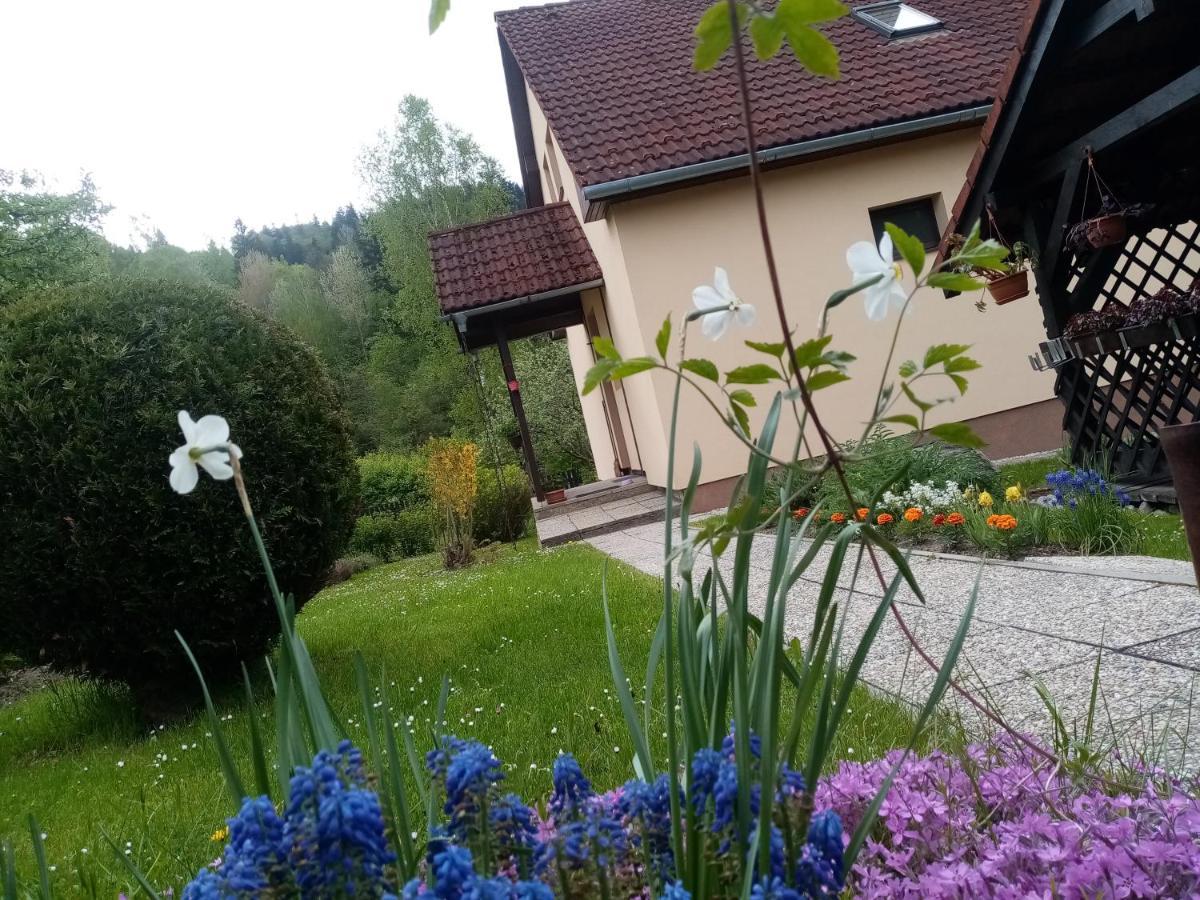 Apartman Nika Lewocza Zewnętrze zdjęcie